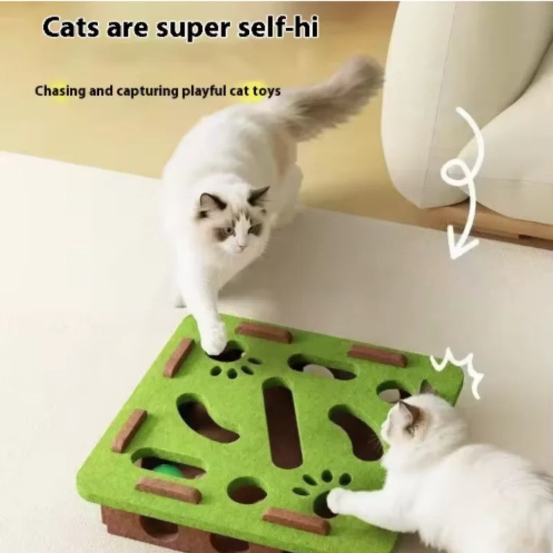 PawMaze Cat Play Box