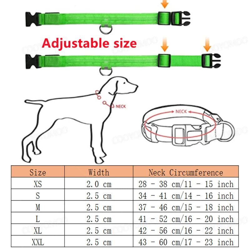 GlowGuard LED Safety Collar