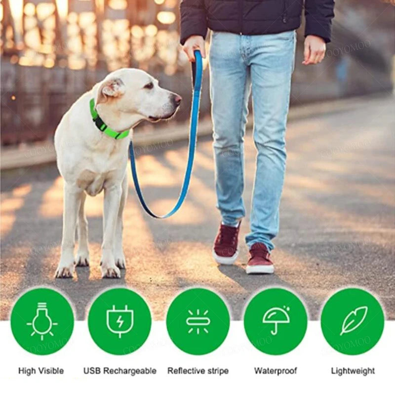 GlowGuard LED Safety Collar