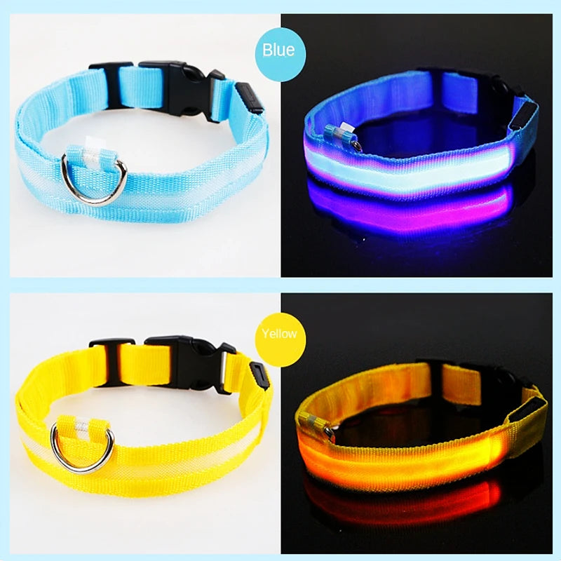 GlowGuard LED Safety Collar