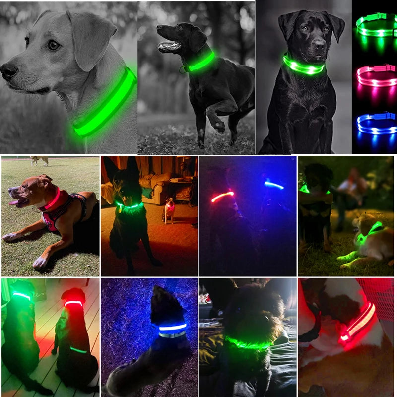 GlowGuard LED Safety Collar