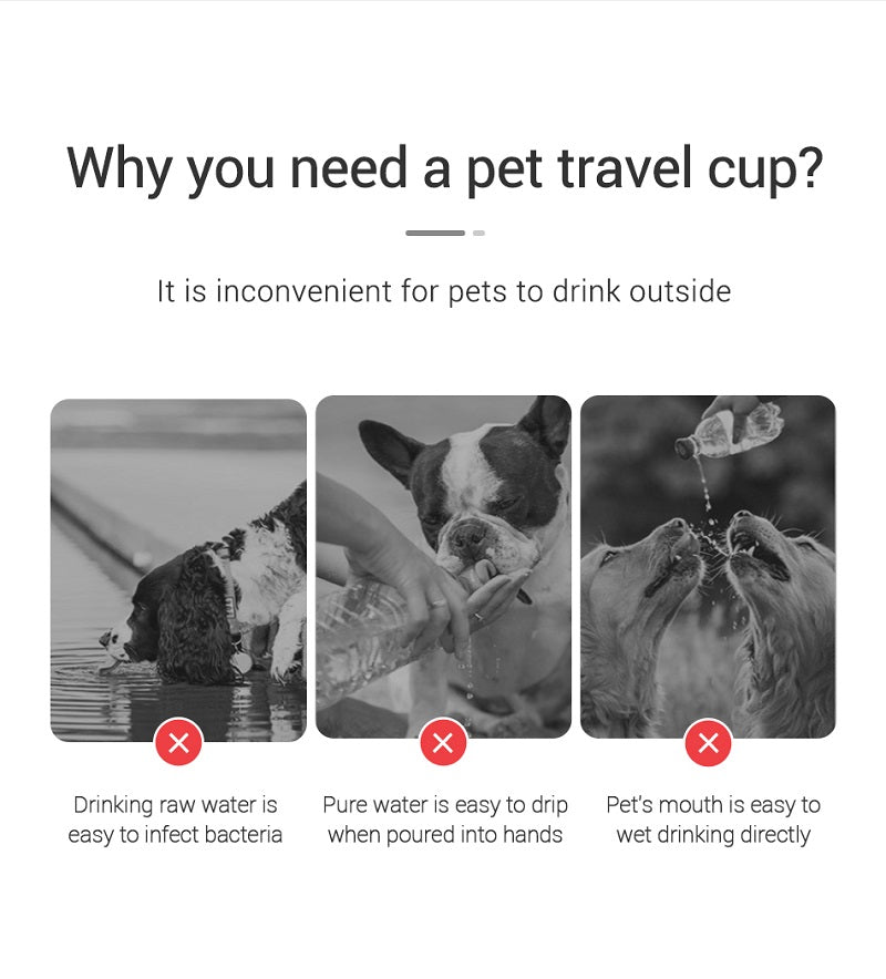 HydraPaw Portable Water Bottle