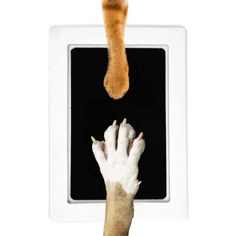 PureTouch Paw Print Kit