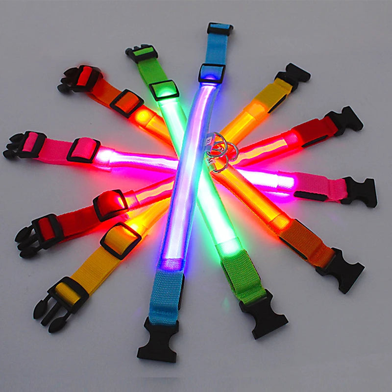 GlowGuard LED Safety Collar