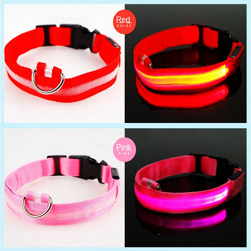 GlowGuard LED Safety Collar