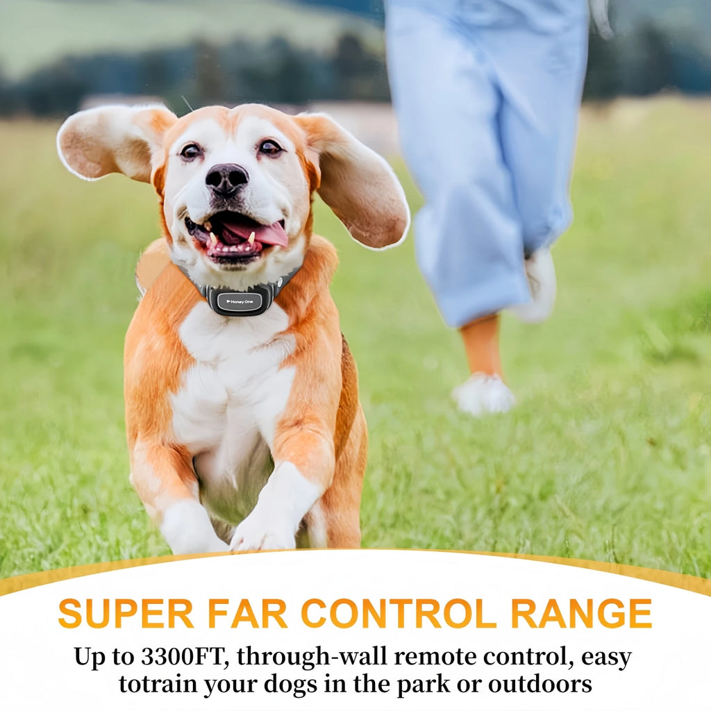 PawControl Remote Training Collar