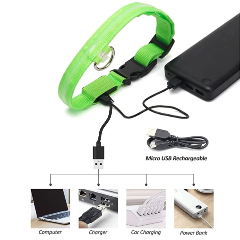 GlowGuard LED Safety Collar