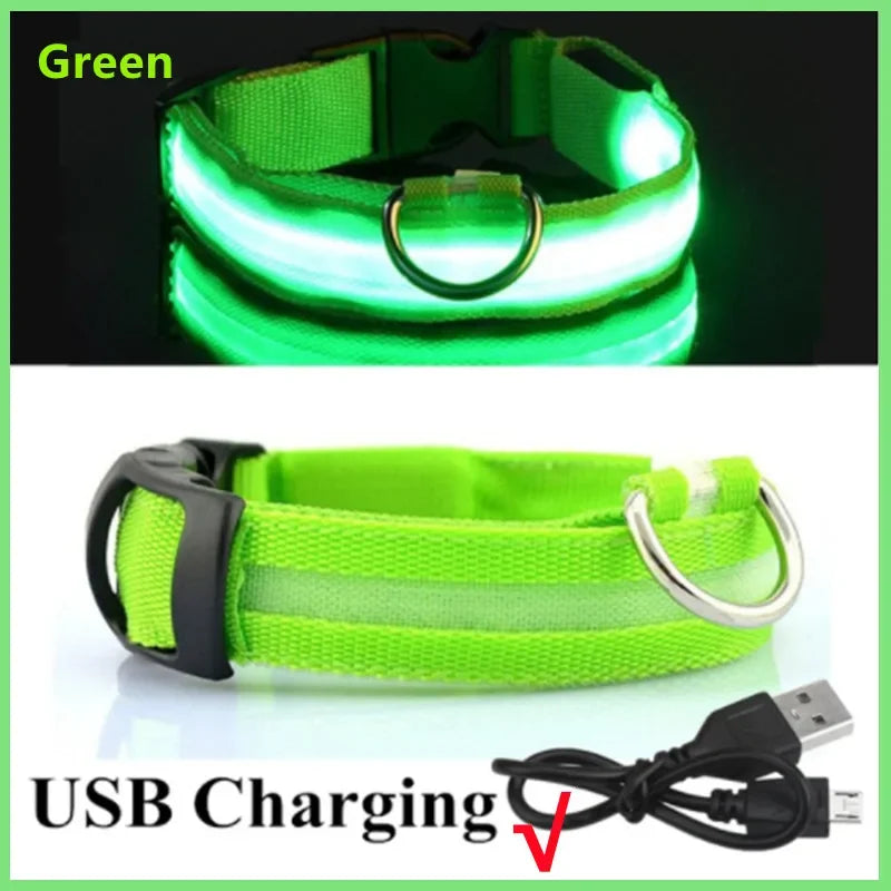 GlowGuard LED Safety Collar