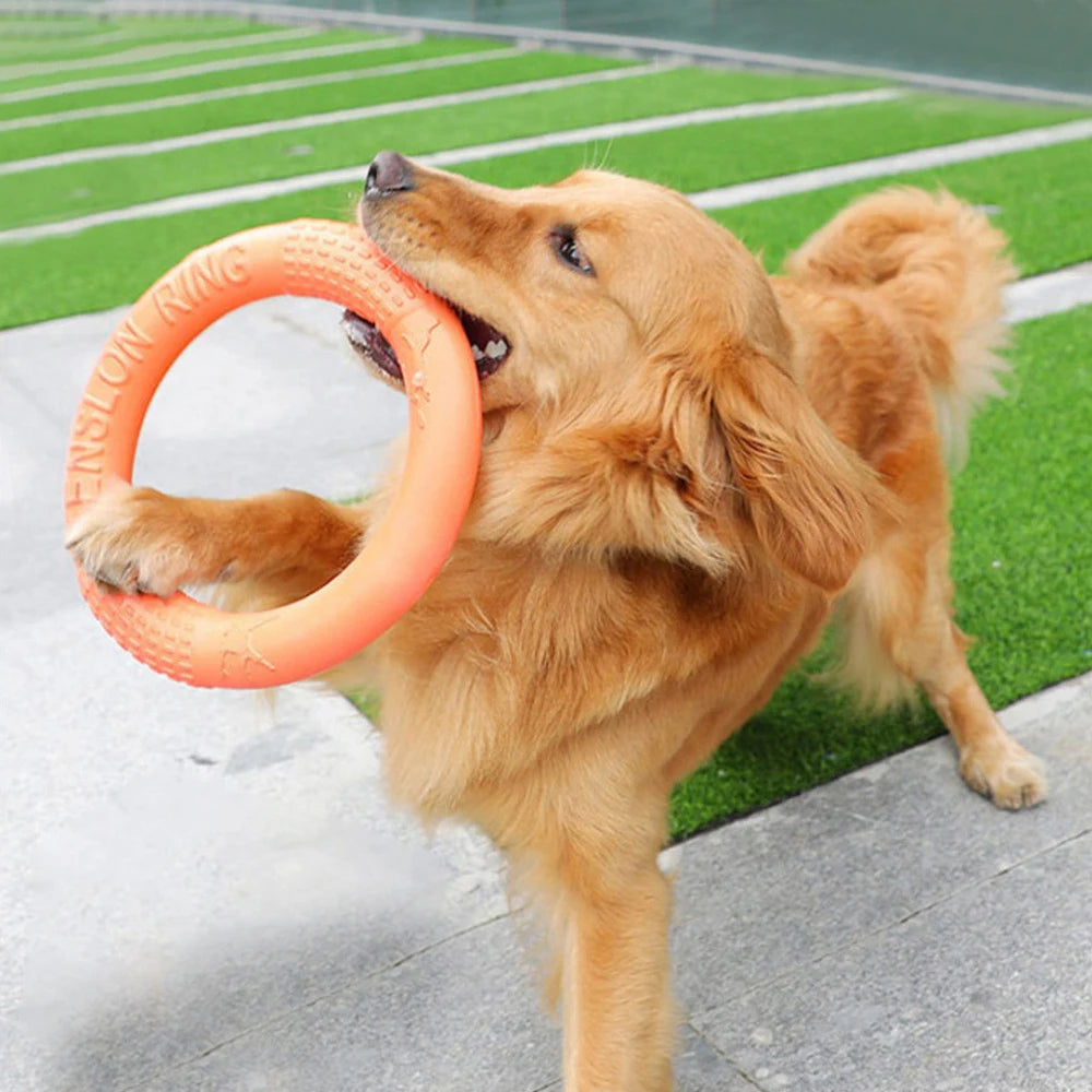 FlyRing EVA Training Disc