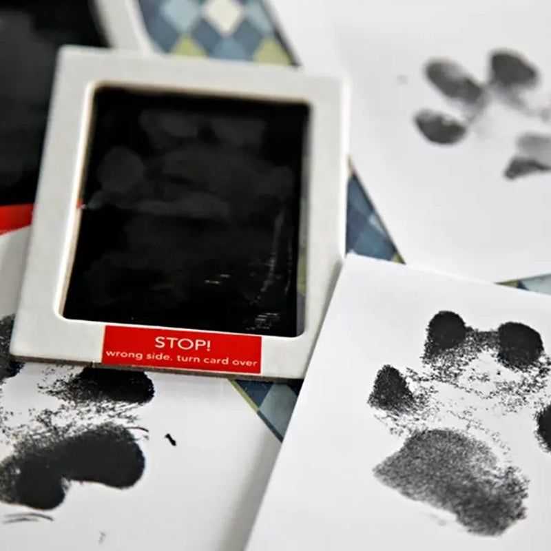 PureTouch Paw Print Kit