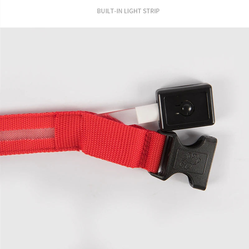 GlowGuard LED Safety Collar