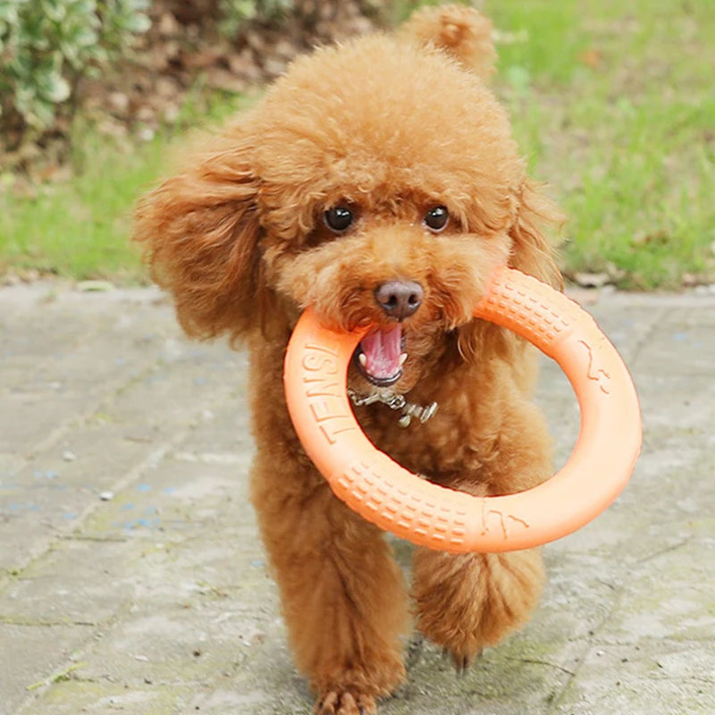 FlyRing EVA Training Disc