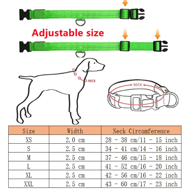GlowGuard LED Safety Collar