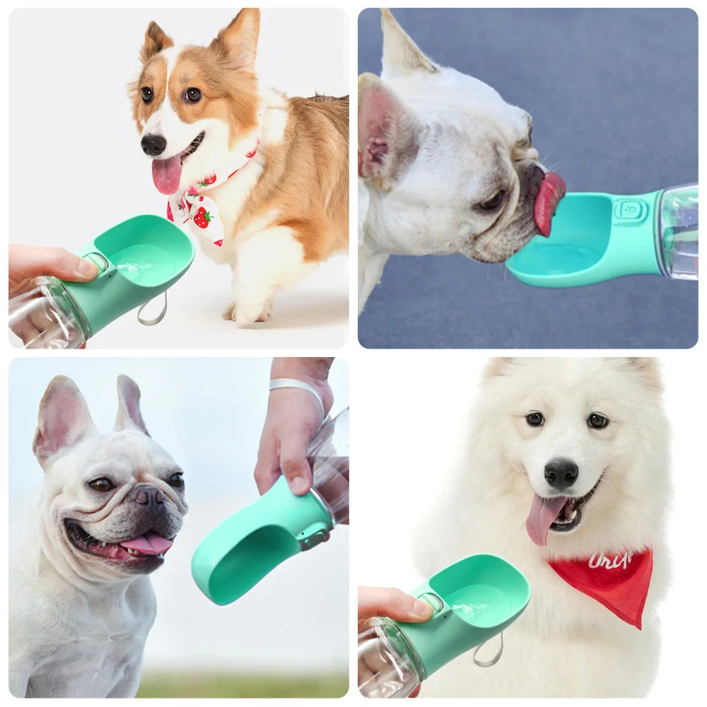HydraPaw Portable Water Bottle