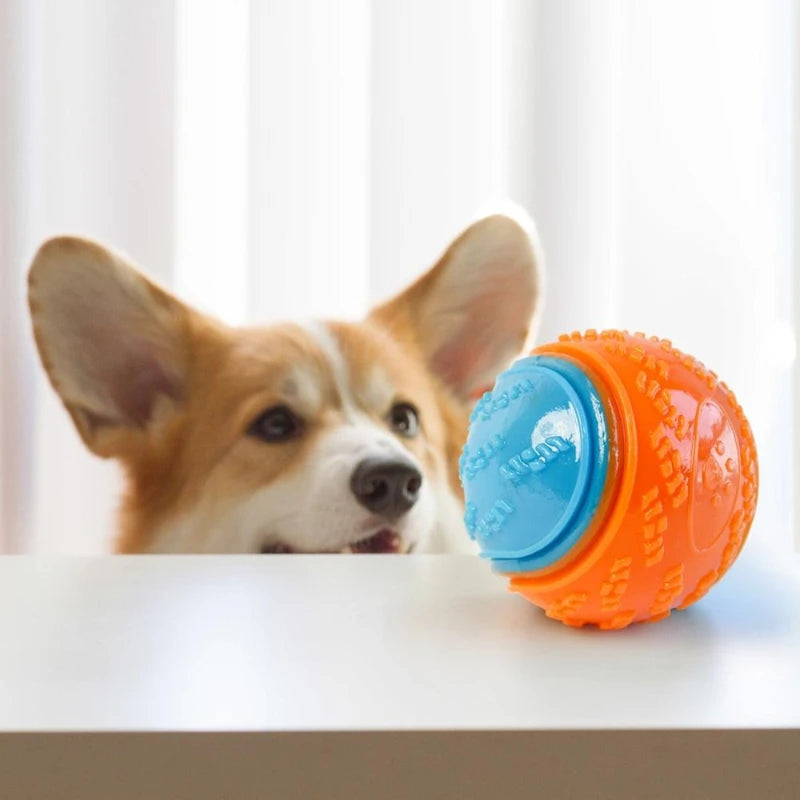PowerChew Squeaky Ball