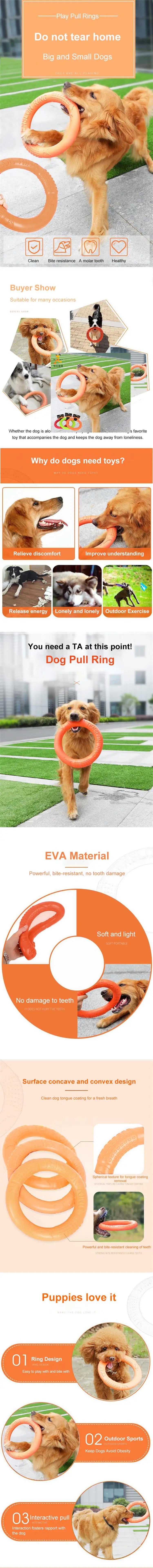 FlyRing EVA Training Disc