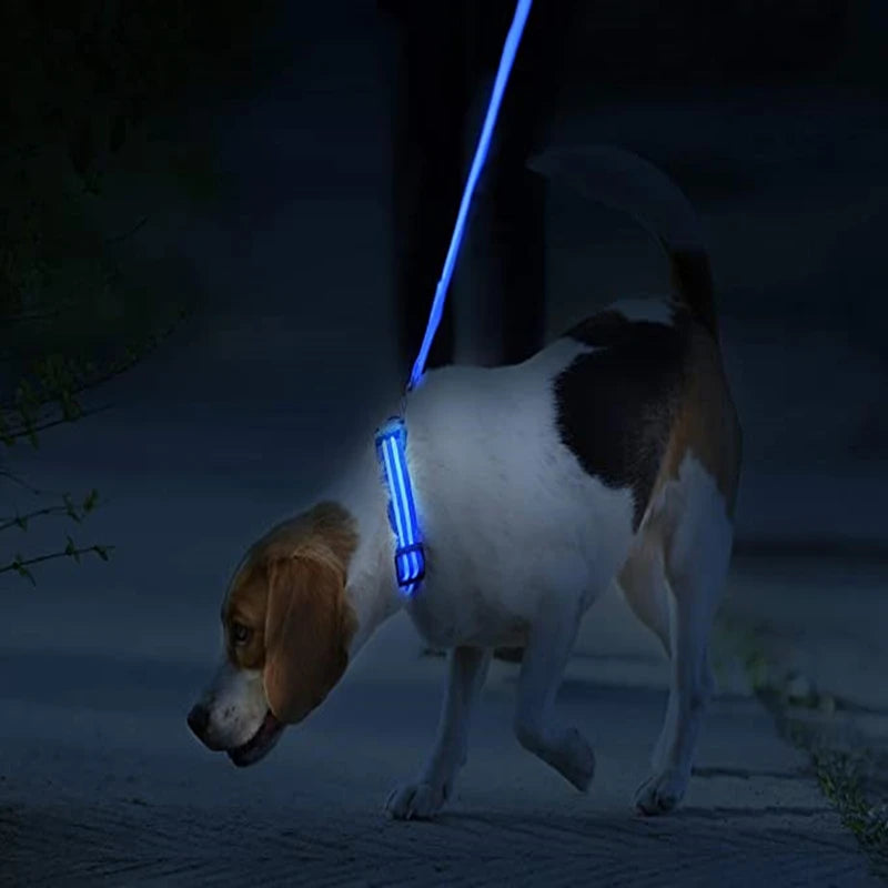 GlowGuard LED Safety Collar