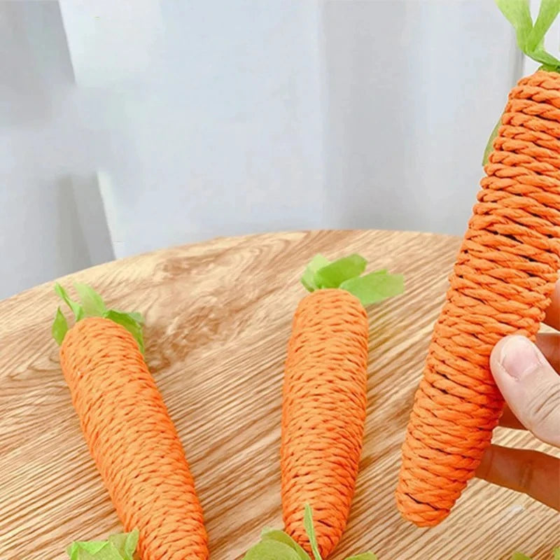 WhiskerFun Carrot Toy