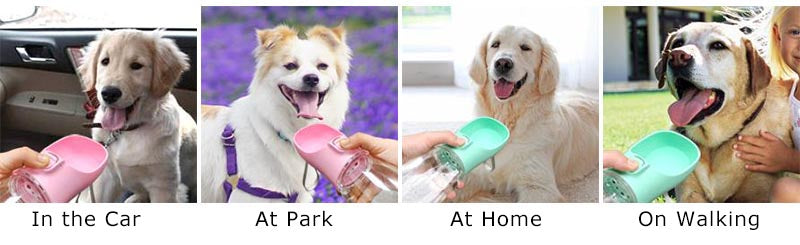 HydraPaw Portable Water Bottle