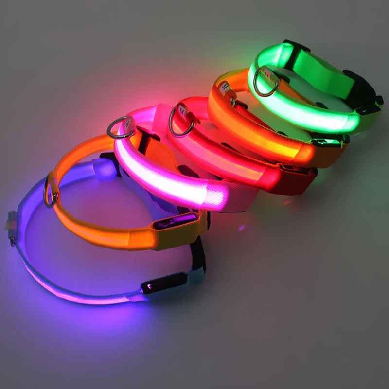 GlowGuard LED Safety Collar