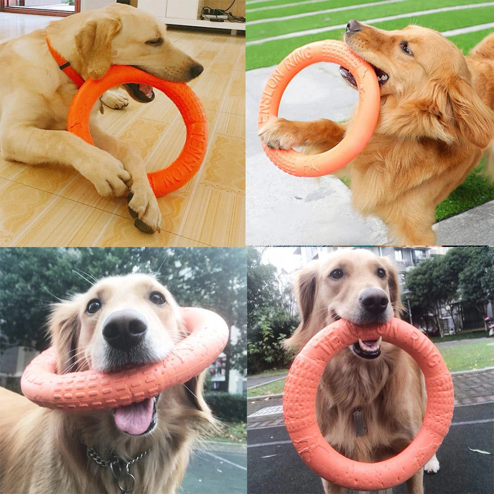 FlyRing EVA Training Disc