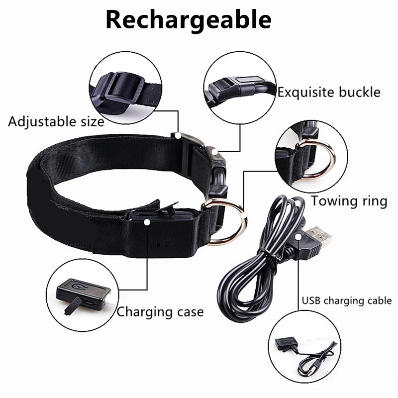 GlowGuard LED Safety Collar