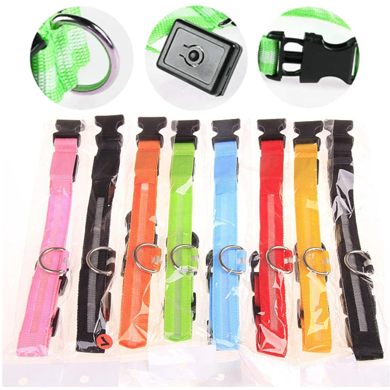 GlowGuard LED Safety Collar