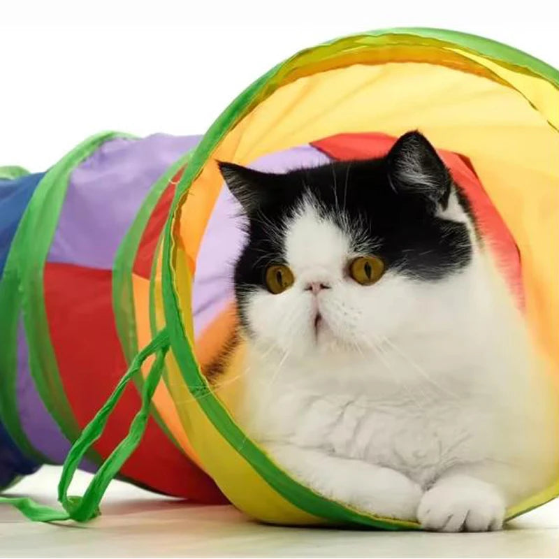 ZoomTube Collapsible Pet Tunnel