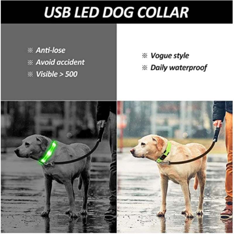 GlowGuard LED Safety Collar