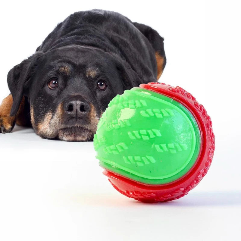 PowerChew Squeaky Ball