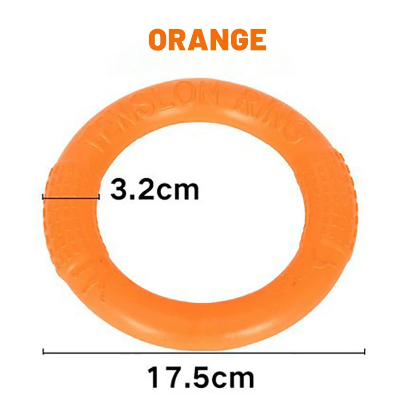 FlyRing EVA Training Disc