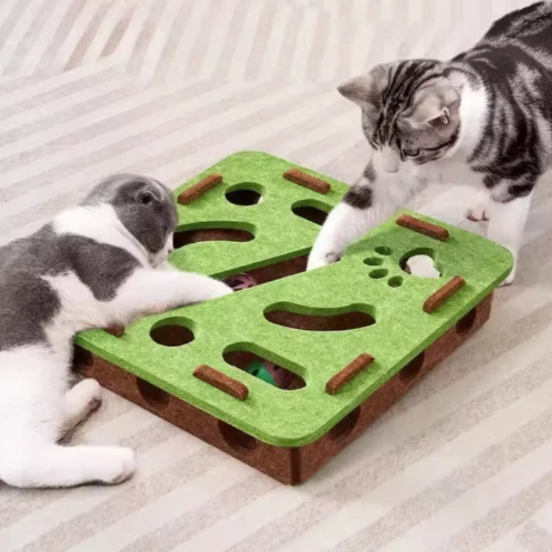 PawMaze Cat Play Box