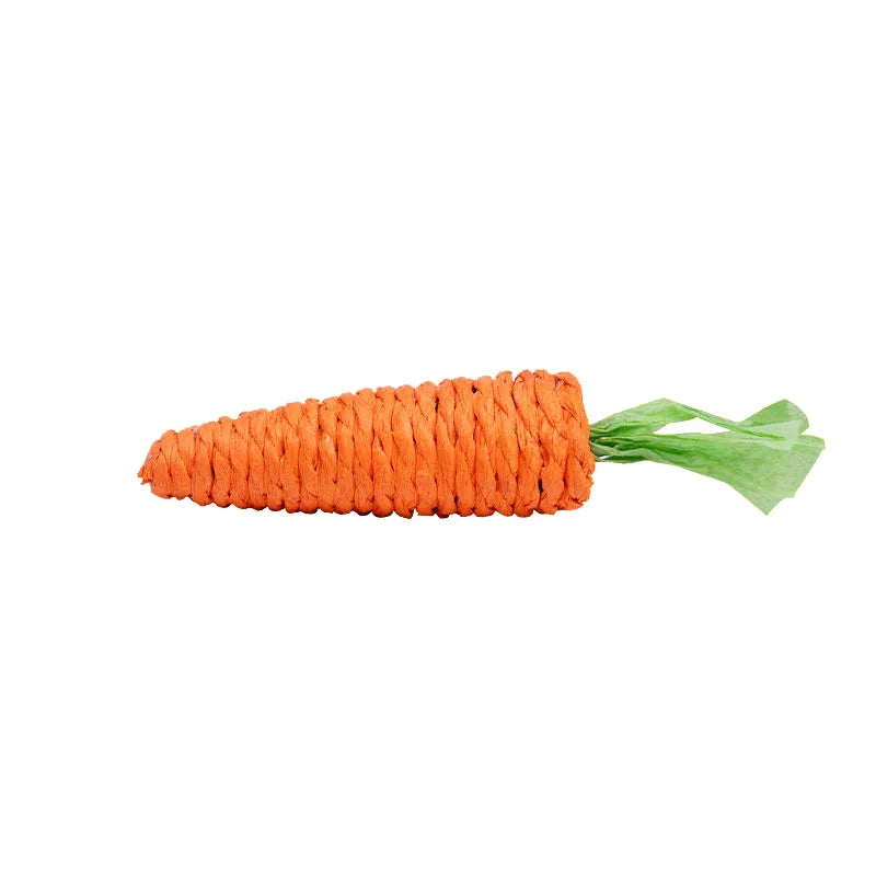 WhiskerFun Carrot Toy