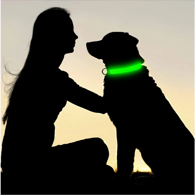 GlowGuard LED Safety Collar