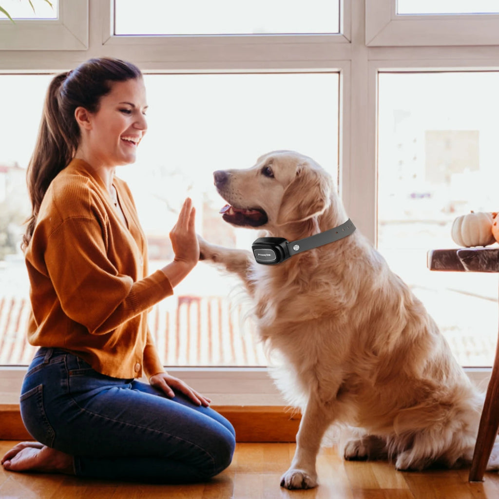 PawControl Remote Training Collar