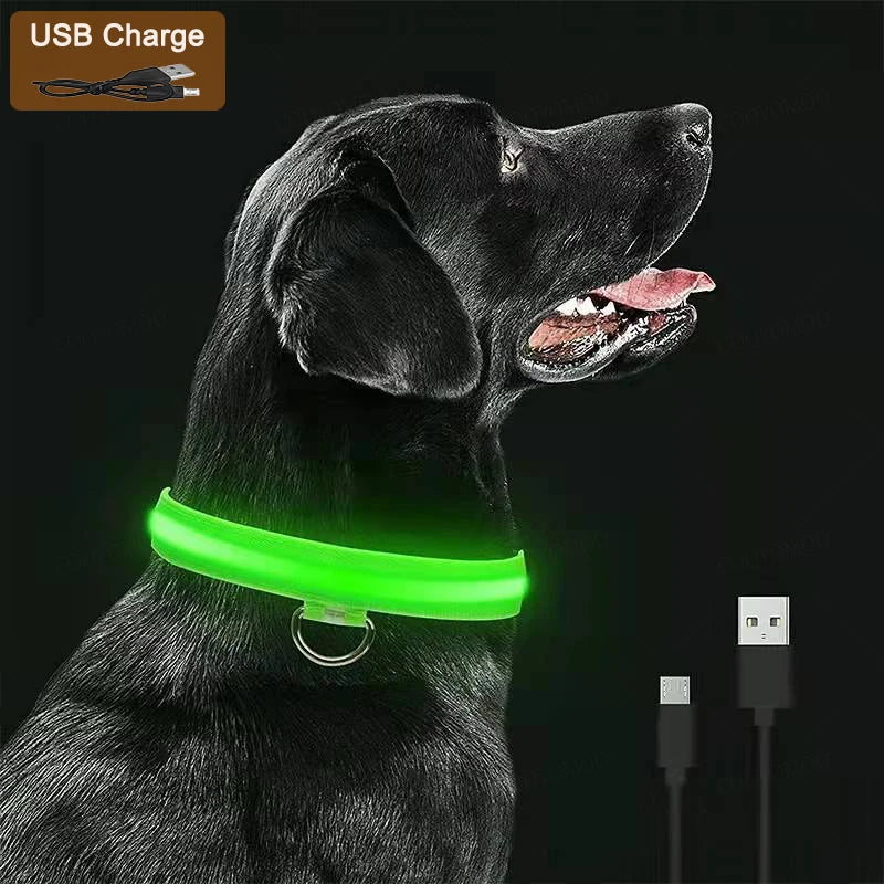 GlowGuard LED Safety Collar