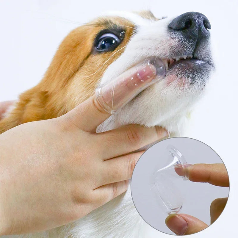 SoftPaw Finger Toothbrush