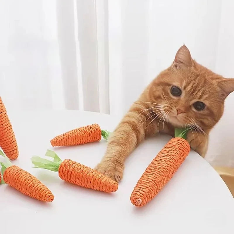 WhiskerFun Carrot Toy