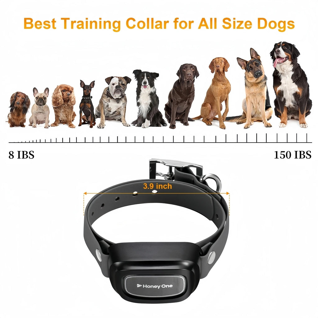 PawControl Remote Training Collar