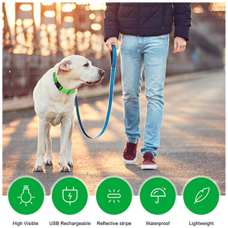 GlowGuard LED Safety Collar