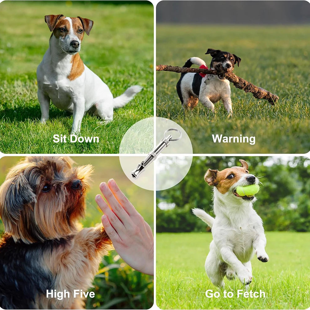 PawSignal Ultrasonic Whistle