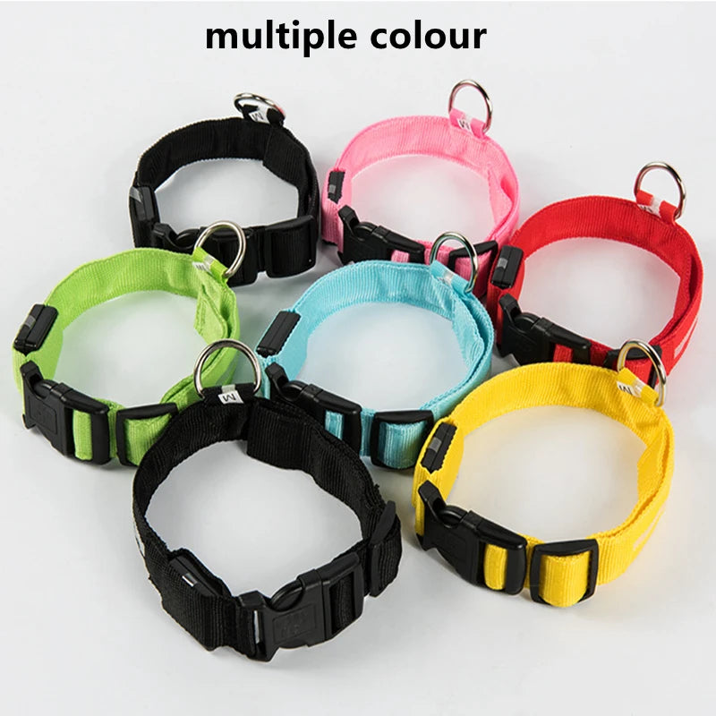 GlowGuard LED Safety Collar
