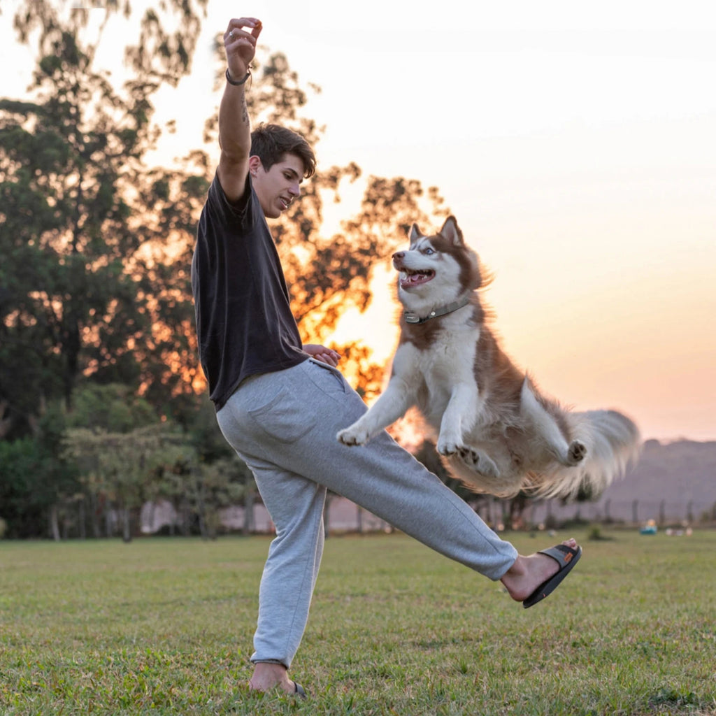 PawControl Remote Training Collar