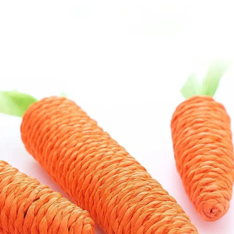 WhiskerFun Carrot Toy