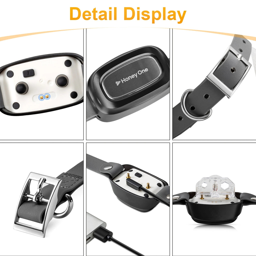 PawControl Remote Training Collar
