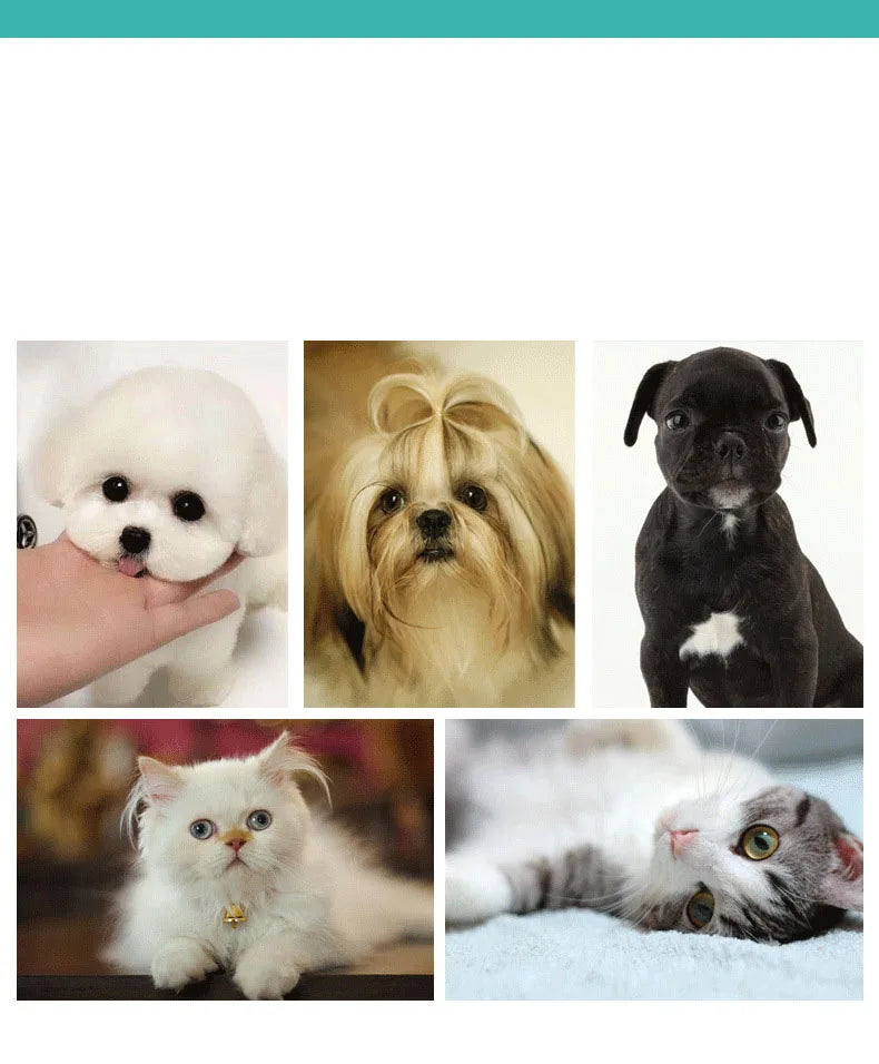 PawSpa Silicone Bath Brush