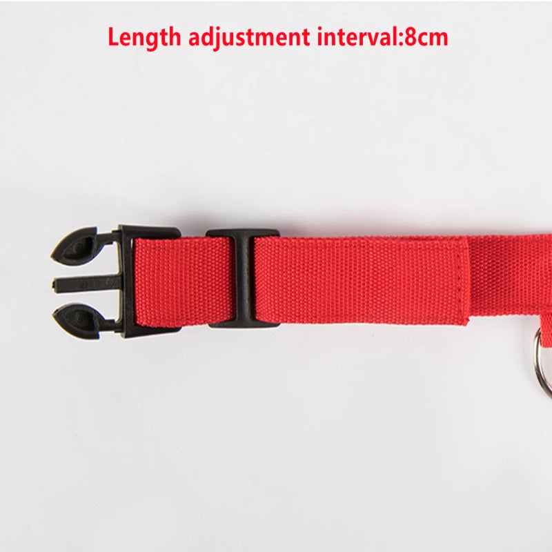 GlowGuard LED Safety Collar