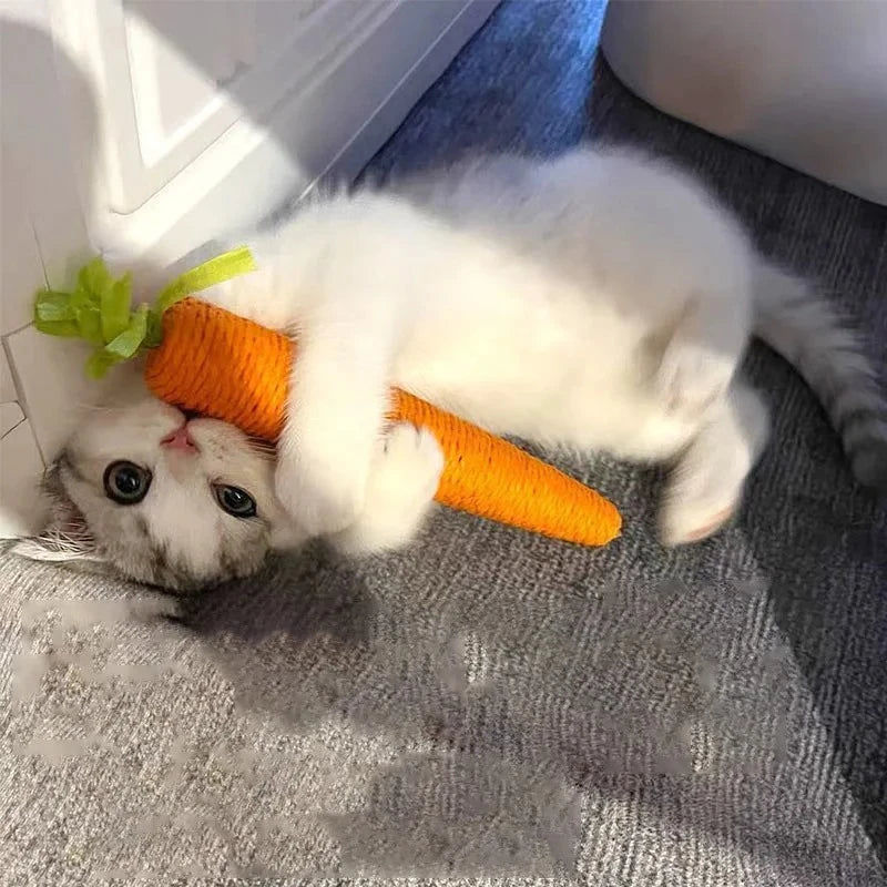 WhiskerFun Carrot Toy