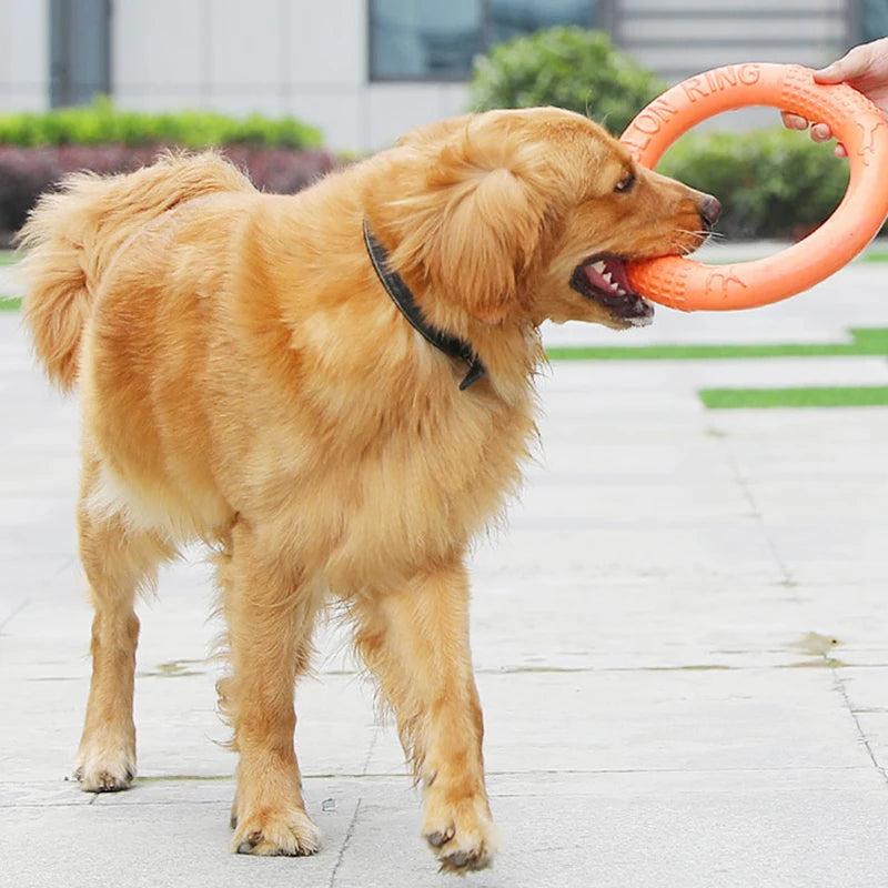 FlyRing EVA Training Disc