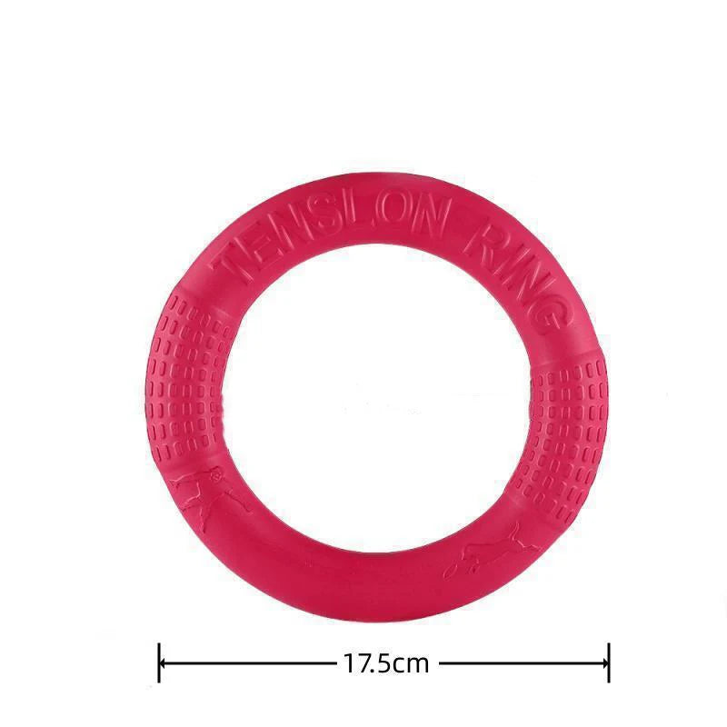FlyRing EVA Training Disc
